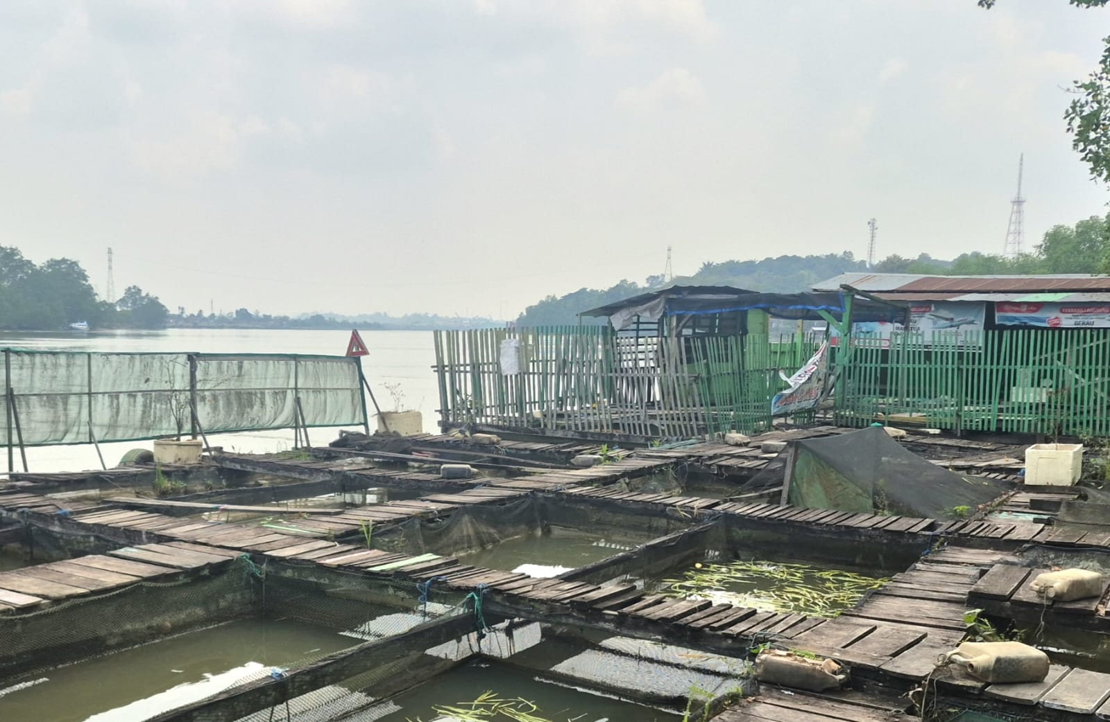 Maksimalkan 10 UPR, Diskan Berau Targetkan Stop Impor Benih Ikan